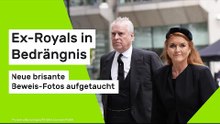 Andrew und Fergie: Neue brisante Beweis-Fotos aufgetaucht - Ex-Royals in Bedrängnis