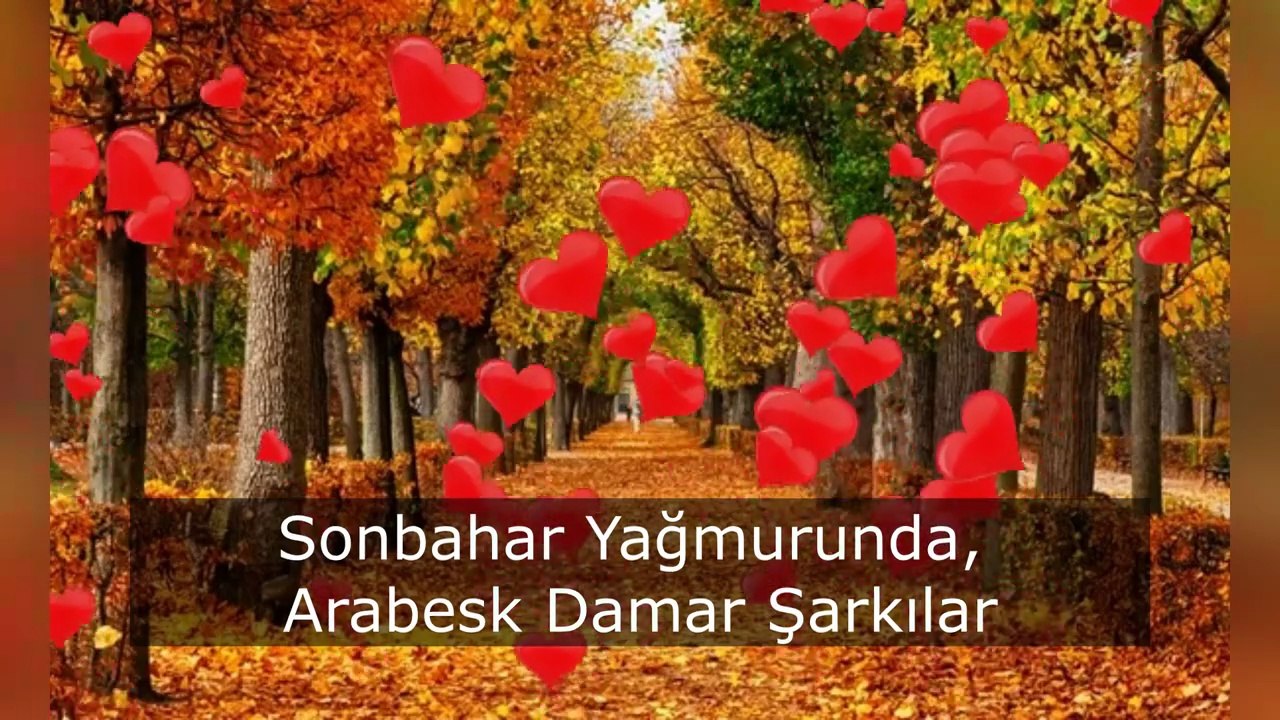 Sonbahar Yağmurunda Sana Damar 🎧