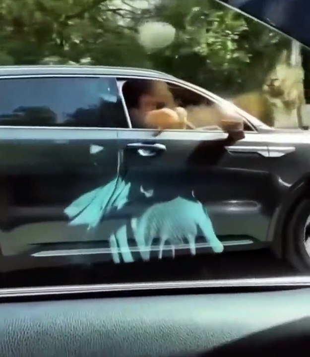 Automobiliste en colère VS mauvais karma