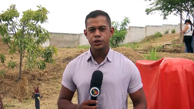 Tragédia na P170: Acidente de carro em Lagedo vitima motorista de 48 anos - Um Retrato de Consequências Perigosas do Álcool no Volante