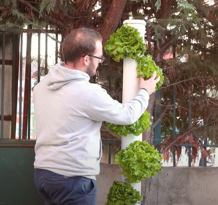 Space saving technology! Tower Gardening plants growing! 🥬