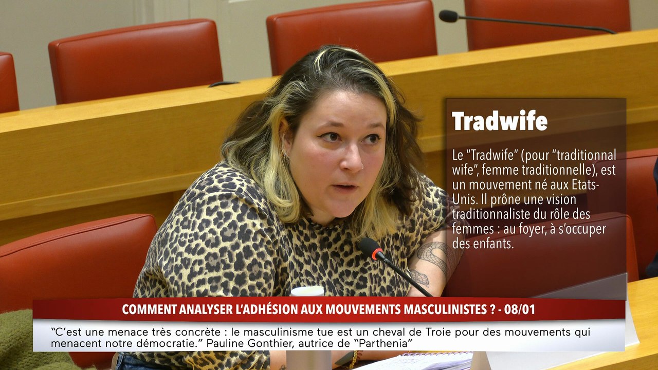 100% Sénat - Comment analyser l'adhésion aux mouvements masculinistes ?