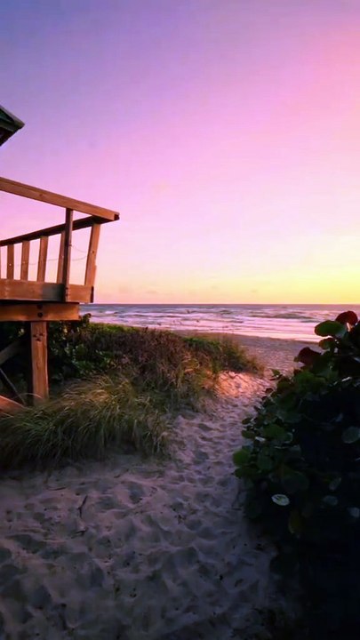 Peace at the beach