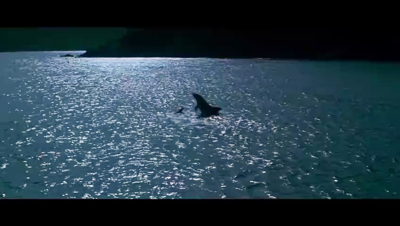 Le Grand Bleu Version longue Film (1988)