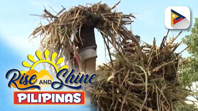 D.A., inaprubahan ang plano ng SRA na mag-export ng 100,000 metric tons ng raw sugar sa U.S. | ulat ni Gab Villegas
