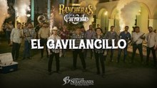 Banda Los Sebastianes De Saúl Plata - El Gavilancillo (En Vivo / LETRA)