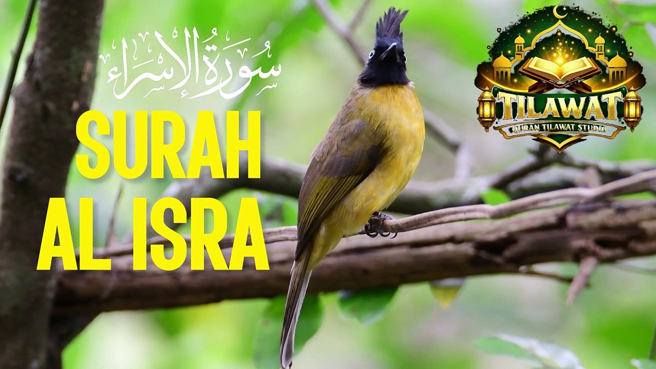 Quran 17 Surah Al Israa سورة بنى الأسراءsurah al isra full recitation  Abbasi studio