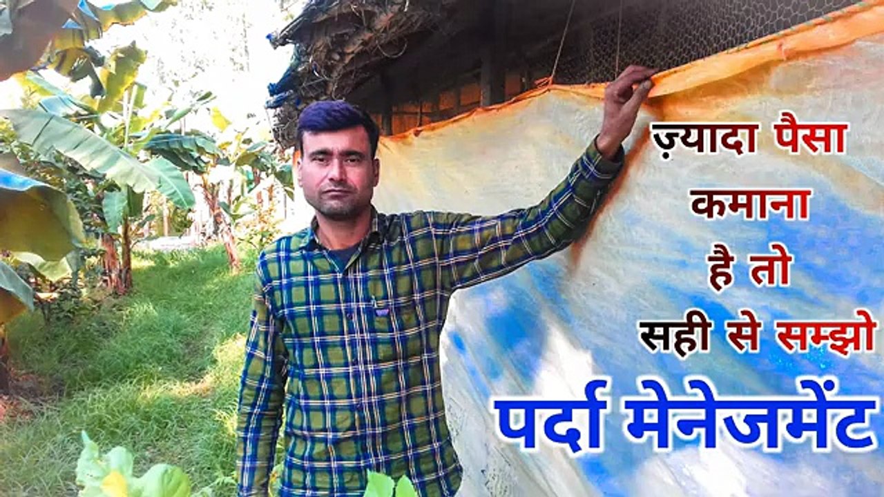 सही से सम्झो पर्दा मेनेजमेंट | desi murgi palan | poultry farm busins plan