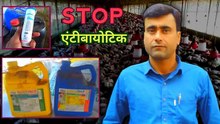 STOP एंटीबायोटिक | poultry farm business plan | desi poultry farm