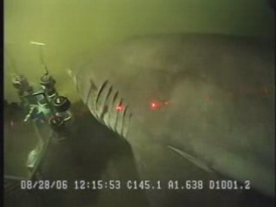 requin enorme et monstrueux