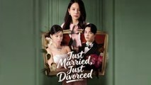 Just Married Just Divorced Chinsese Drama