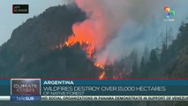 Argentina: Wildfires destroy over 15,000 hectares of native forest