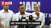 Selangor to phase out traditional pig farming