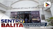Sarah Discaya at iba pang akusado sa ghost flood control project sa Davao Occidental, naghain ng 'not guilty plea' | ulat ni Jessa Agua-Ylanan - Radyo Pilipinas Cebu