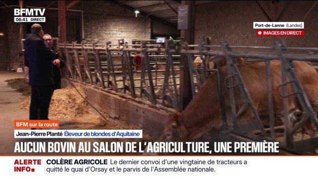 Bovins au Salon de l'Agriculture: On est déçus , déclare Jean-Pierre Planté, éleveur de bovins