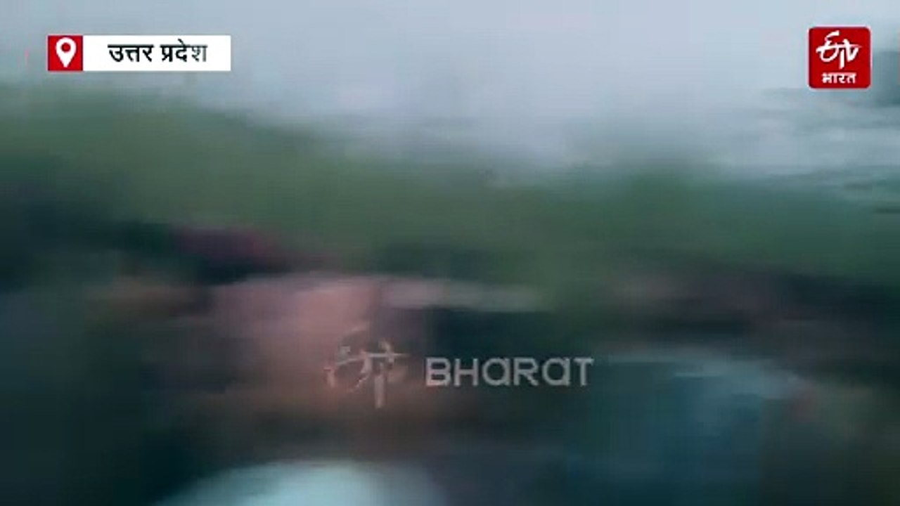 बहराइच के गांव में घुसा तेंदुआ; ग्रामीणों ने दौड़ाया तो पेड़ पर चढ़ा, नीचे वन विभाग ने पिंजरा लगाया