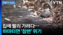 집에 빨리 가려다...하마터면 '참변' 위기 [지금이뉴스]  / YTN