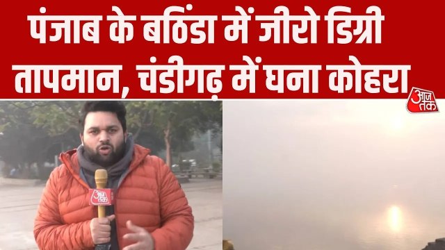 चंडीगढ़ में शीतलहर के साथ छाया घना कोहरा, देखिए ग्राउंड रिपोर्ट