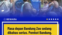Masa Depan Bandung Zoo Ditentukan 2 Bulan Lagi, Jadi Kebun Binatang atau Ruang Terbuka Hijau?