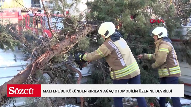 Maltepe’de kökünden kırılan ağaç park halindeki otomobilin üzerine devrildi