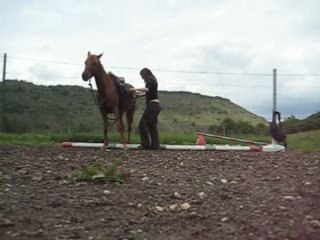 Kahlia déplacements sur la barre