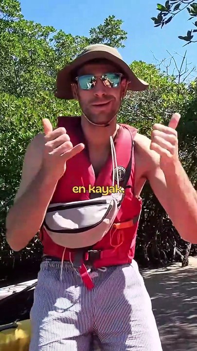 JOUR 7 ： L'île des Ratons Laveurs à Miami.