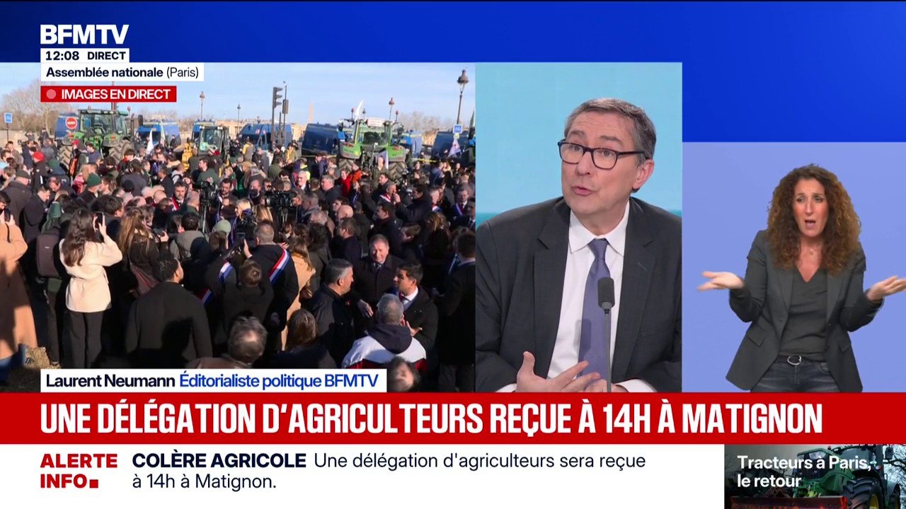 Il n'y aura pas de bovins au Salon de l'Agriculture 2026