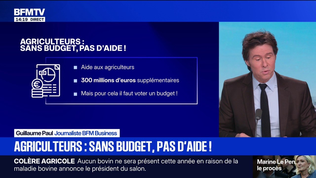 Agriculteurs: ils attendent le vote du budget 2026 par l'Assemblée nationale pour obtenir 300 millions d'euros d'aides