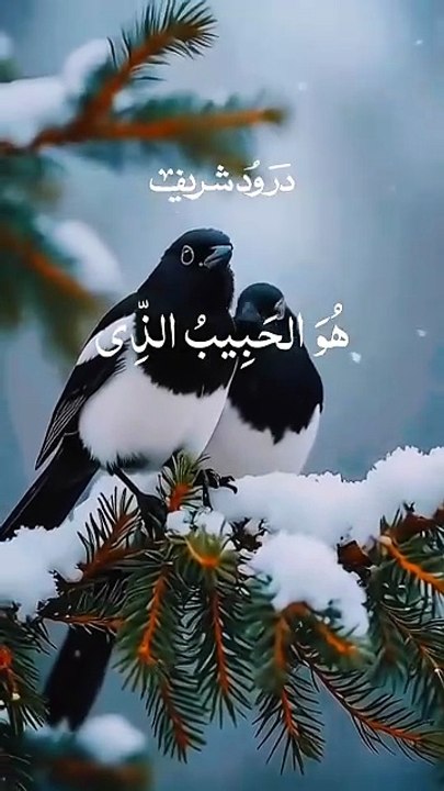 Most Heart Touching Maula Ya Salli Wa Sallim ❤️ #shorts