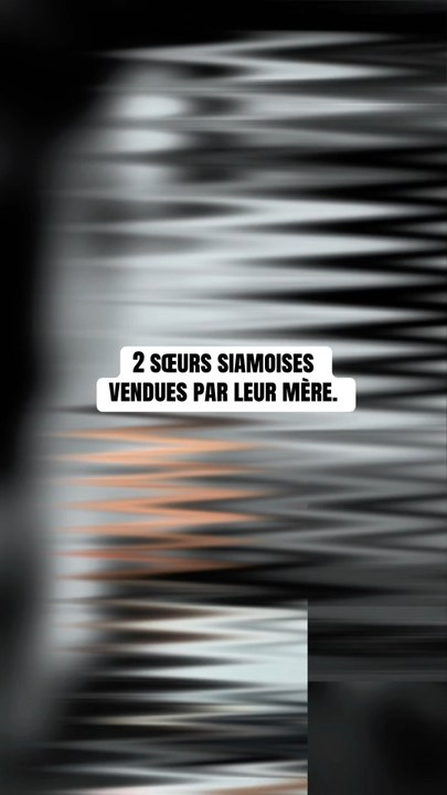 2 sœurs siamoises vendues par leur mère.