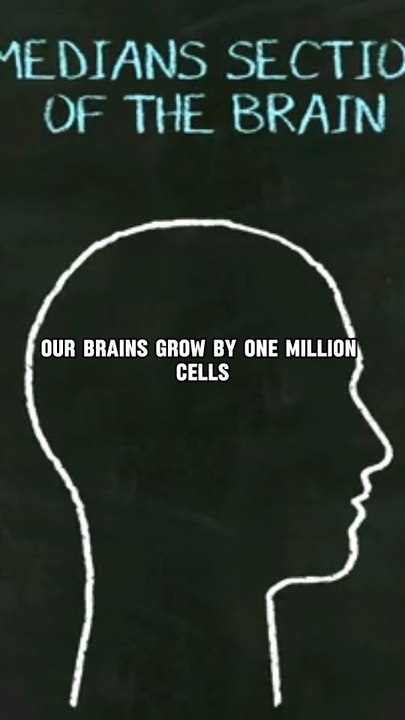 Did you know?