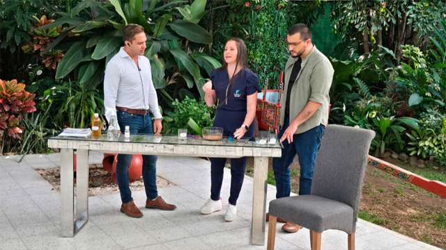 bd-soluciones-efectivas-contra-el-olor-a-mascotas-130126