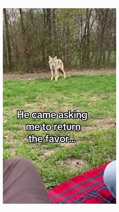 日本利用压电瓷砖将脚步转化为电能。这些瓷砖捕捉来自你脚步的动能。当你行走时，你的重量和动作会对瓷砖产生压力。瓷砖会轻微弯曲，从而产生机械应力。瓷砖内部的压电材料将这种应力转化为电能。每一步都会 (8)