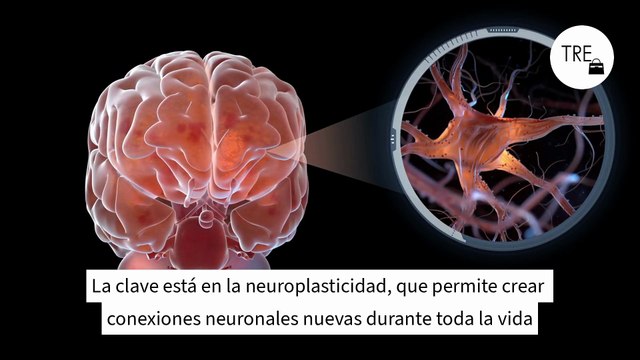 Manuel Sans, médico y cirujano: “Lo peor que puede hacer un humano es sentarse en el sofá delante de la televisión