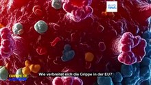 Grippesaison: Wie breitet sie sich in der EU aus und was tun die Länder dagegen?