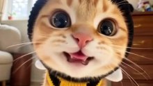 video_x9m5w7e