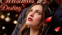 Mistaken Surrogacy, Christmas Destiny