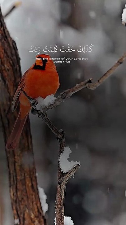 🔥 Surah Yūnus 10:33 — سورة يونس ⚡ When Truth Is Rejected… Misguidance Becomes Inevitable 😔⏳ #love #Quran #viral #shorts #trending #YouTubeShorts #fyp #short #SurahYunus #Truth #Guidance #IslamicShorts