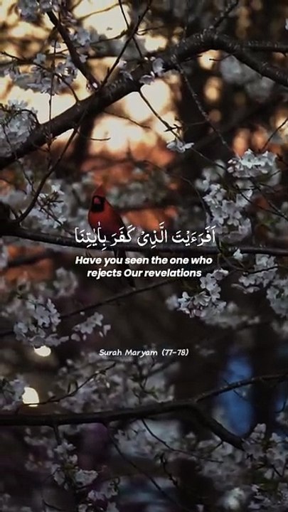 🔥 Surah Maryam 19:77–78 — سورة مريم ⚡ Arrogance About the Future… While Forgetting Allah 😔⏳ #love #Quran #viral #shorts #trending #YouTubeShorts #fyp #short #SurahMaryam #Arrogance #Akhirah #IslamicShorts