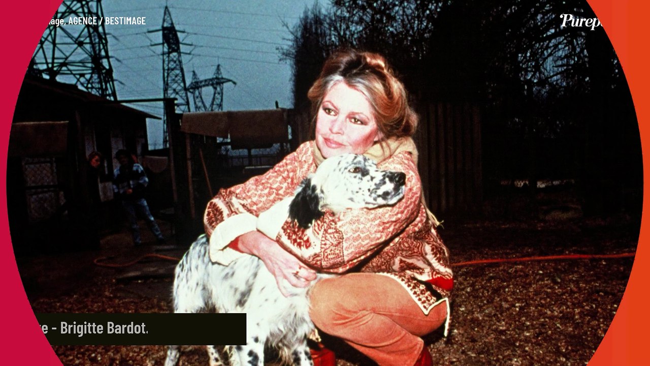 Brigitte Bardot : Visite de sa chapelle champêtre nichée au coeur de La Garrigue, son autre propriété de St Tropez