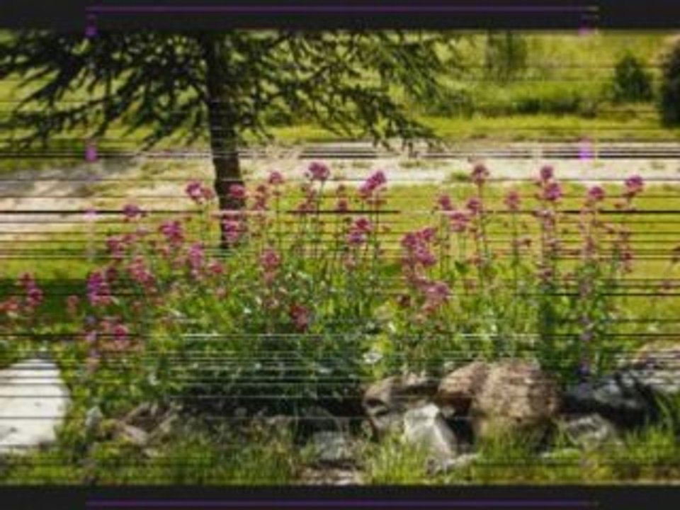 Des Croissants de Soleil Vidéo Dailymotion