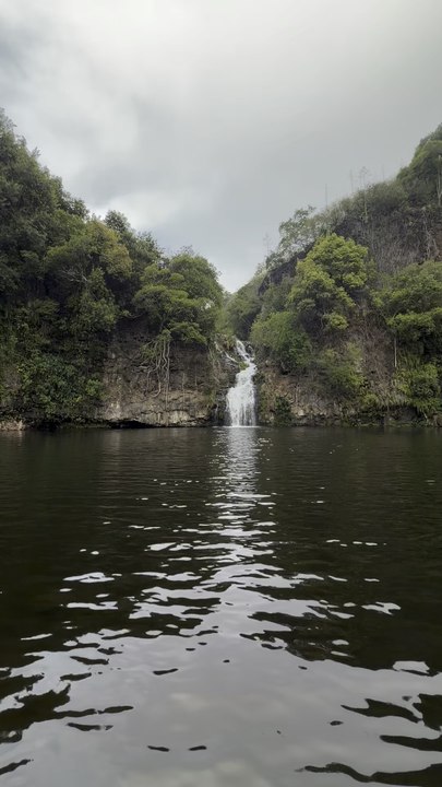 Bassin cormoran 🇷🇪