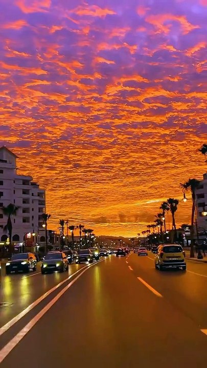 Beautiful Sunset 🌆