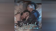 TãO FráGil, TãO Cor-De-Rosa Dublado