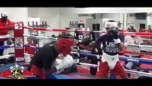 Boxing World SHOCKED After Shakur Stevenson KNOCKED OUT by Keyshawn Davis in Sparring LEAK!