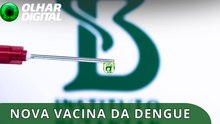 Vacina da dengue: Butantan está recrutando voluntários idosos para testes
