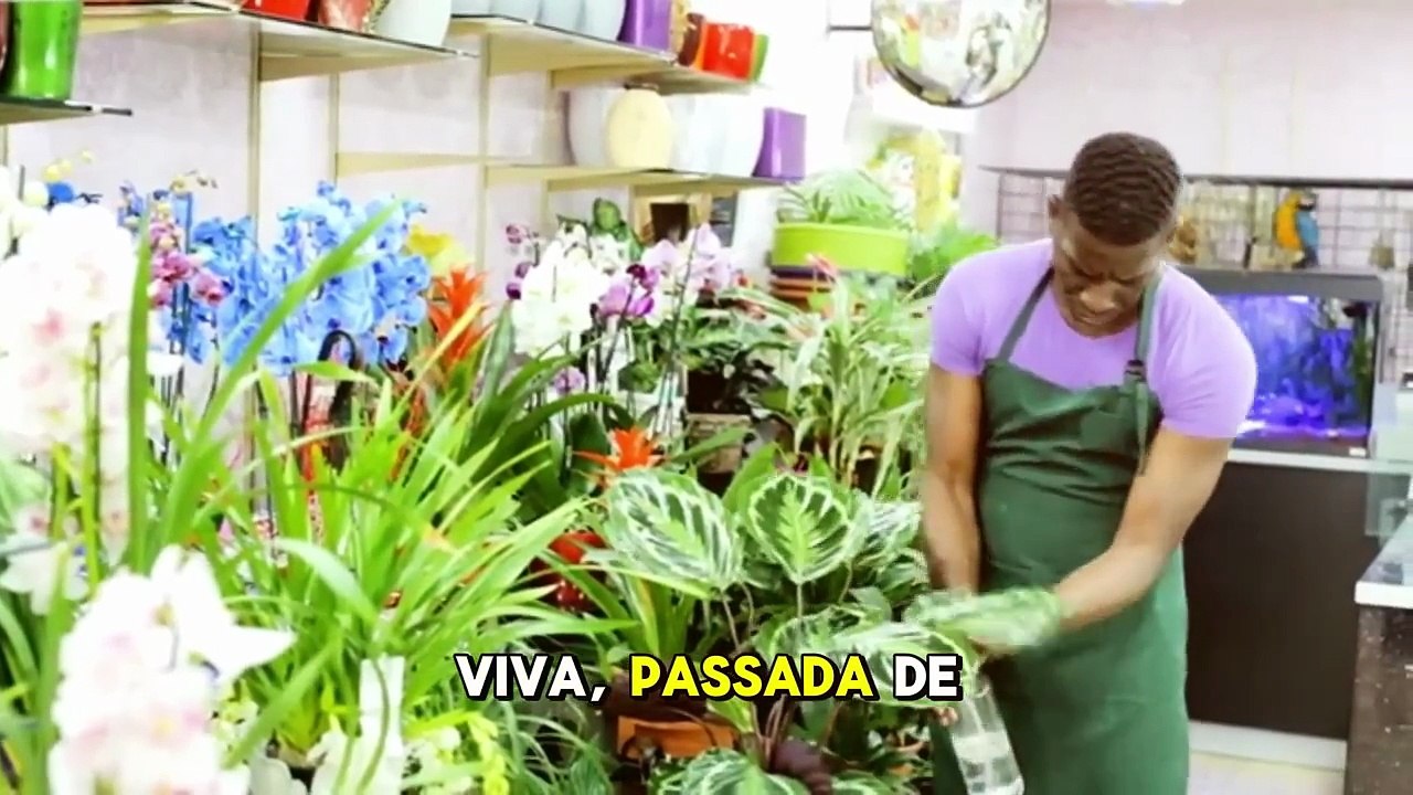 10 Negócios Simples no Paraguai Que Funcionam Mesmo (Mesmo Com Pouco Dinheiro)