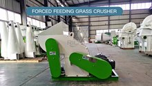 Forced Feeding Forage Grinder Machine | Stable Output for Hay, Straw & Grass Crushing