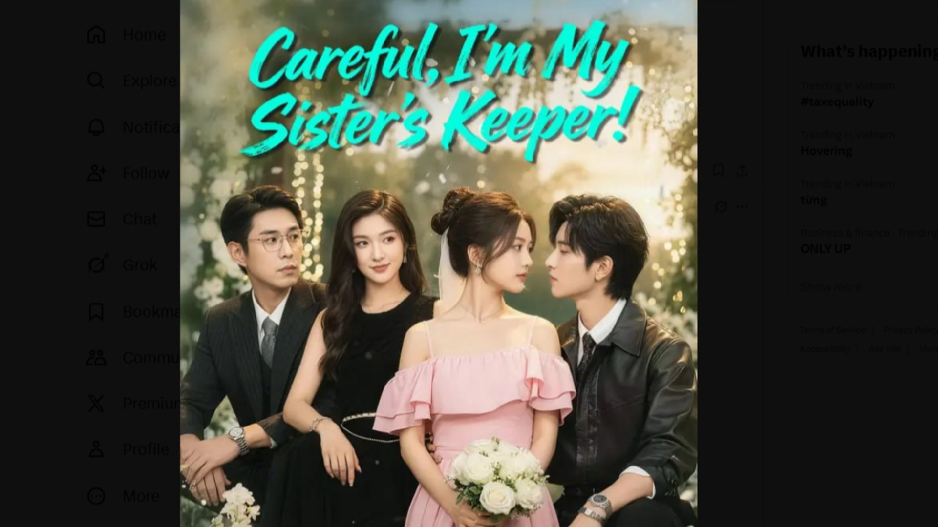 Careful I'm My Sister's Keeper Drama Movies English Sub