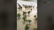 Aerial view shows floodwaters across Narrien Cattle Co near Jericho